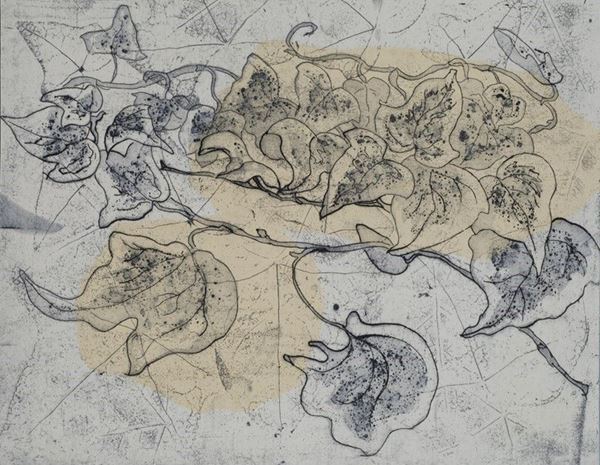 Anonimo, XX sec. : Foglie  - Calcografia - Auction GRAFICA ED EDIZIONI - Galleria Pananti Casa d'Aste