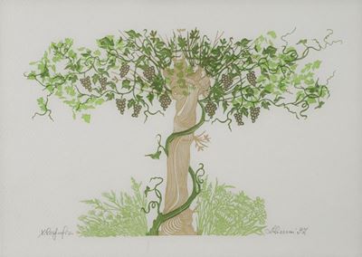 Albero