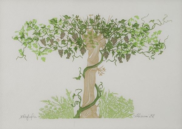 Anonimo, XX sec. - Albero