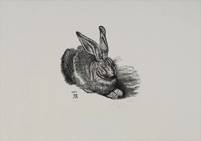 Lepre da Dürer