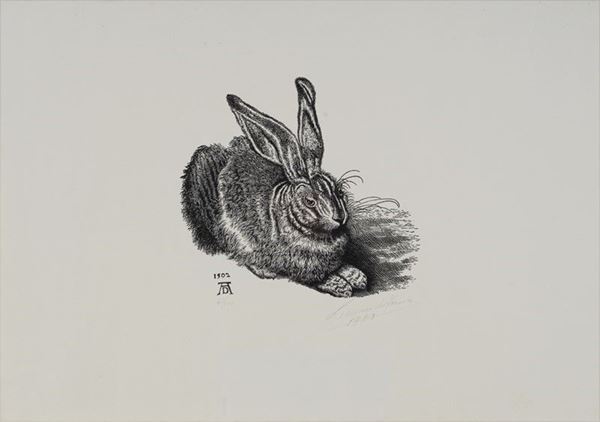 Leonardo Farina - Lepre da Dürer