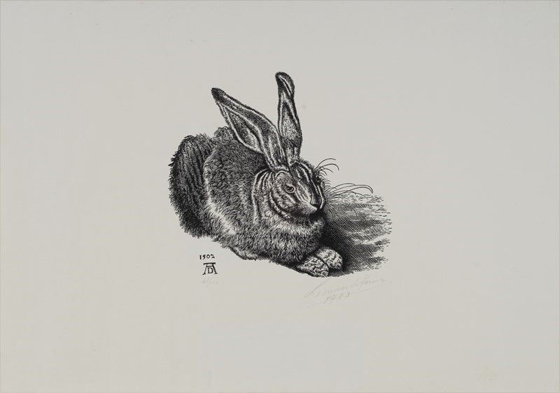 Leonardo Farina - Lepre da Dürer