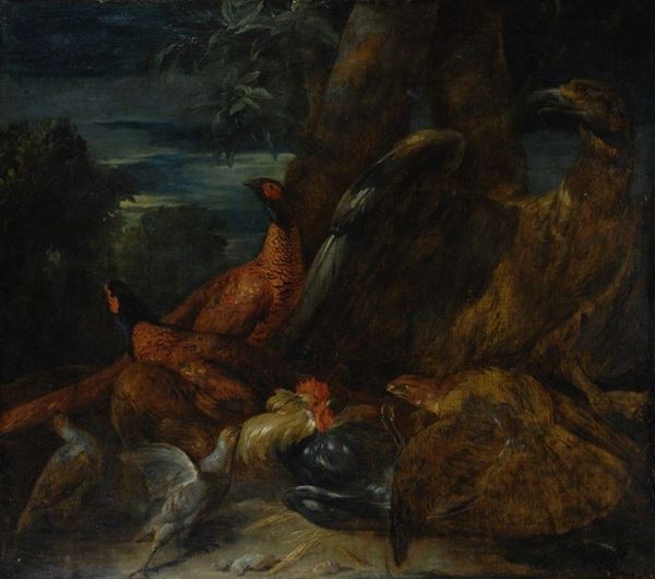 Scuola Olandese, XVII - XVIII sec. - Gruppo di uccelli