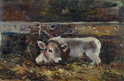 Bue nella stalla, olio su tela 40x60 cm