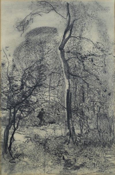 Alberi - Matita su carta