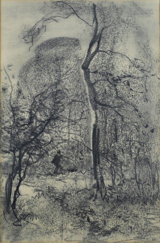Pompeo Mariani - Alberi - Matita su carta