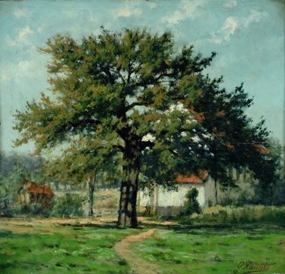 Paesaggio con Albero
