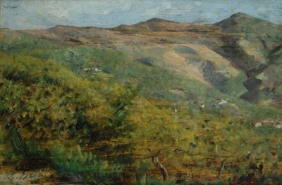 Paesaggio Assolato