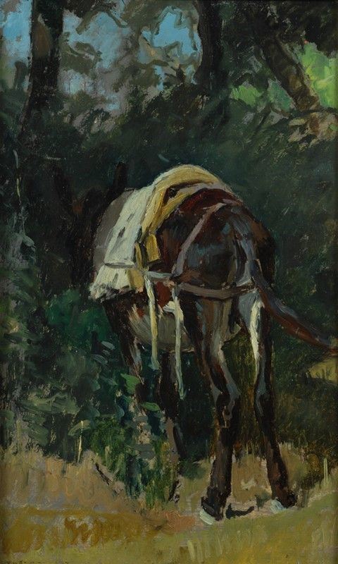 Stefano Bruzzi - Mulo bardato