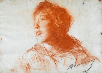 Studio di Testa