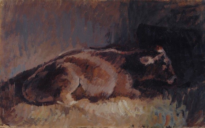 Giovanni March - Vitello nella Stalla