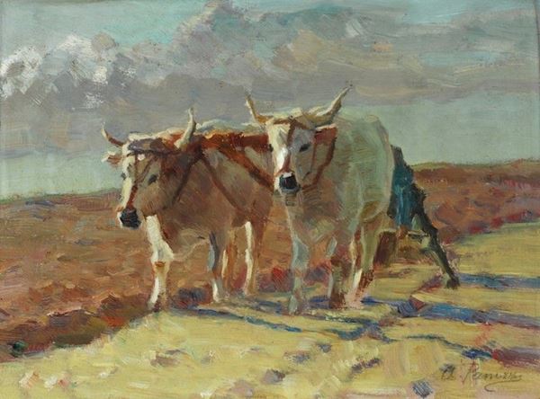 Arturo Panizzi - Buoi