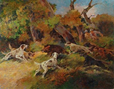 Caccia al Cinghiale