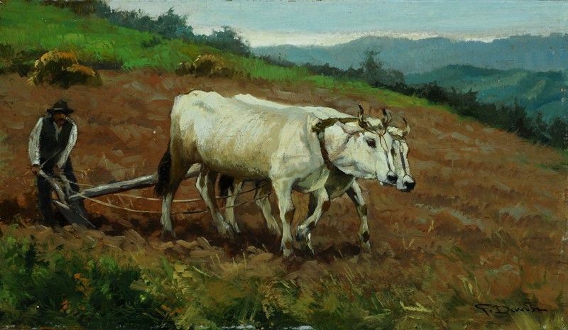 Gino Danti - Aratura