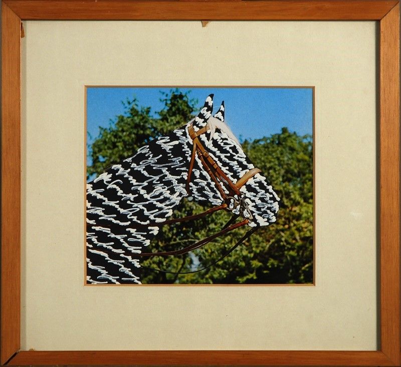 Cavallo
