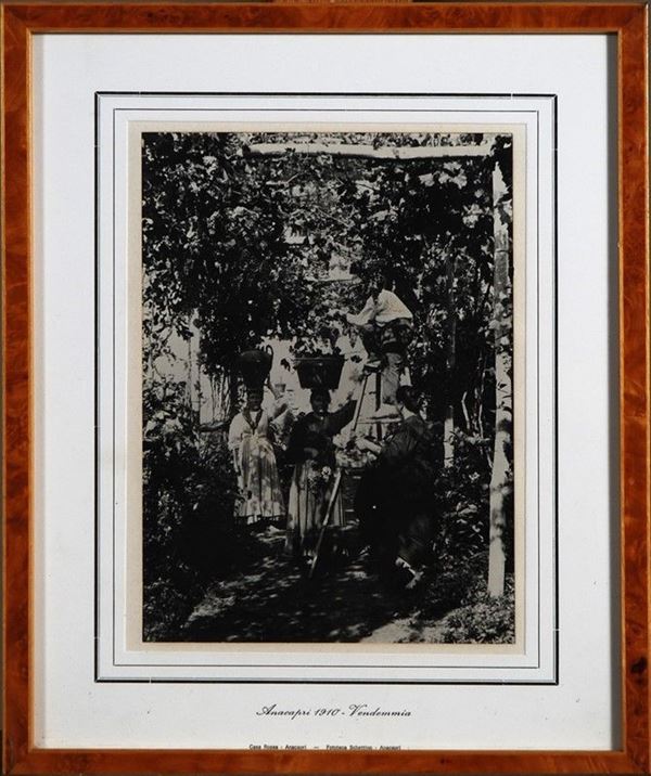 Vendemmia  - Stampa fotografica - Asta GRAFICA ed EDIZIONI da una collezione privata - Galleria Pananti Casa d'Aste