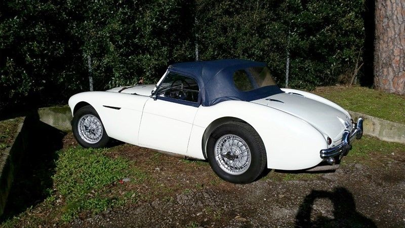 Austin Healey 110/4 Bn1