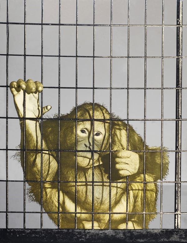 Michelangelo Pistoletto - Scimmia in gabbia