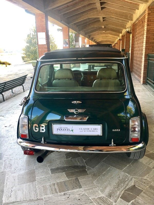Mini Rover 1.3