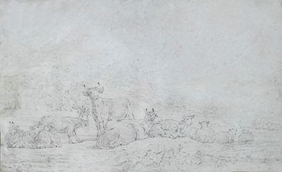 Pascolo