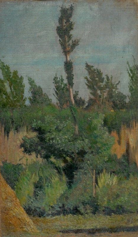 Giovanni Fattori : Studio di vegetazione  (1865-1870)  - Olio su tela - Asta AUTORI DEL XIX E XX SEC - II - Galleria Pananti Casa d'Aste