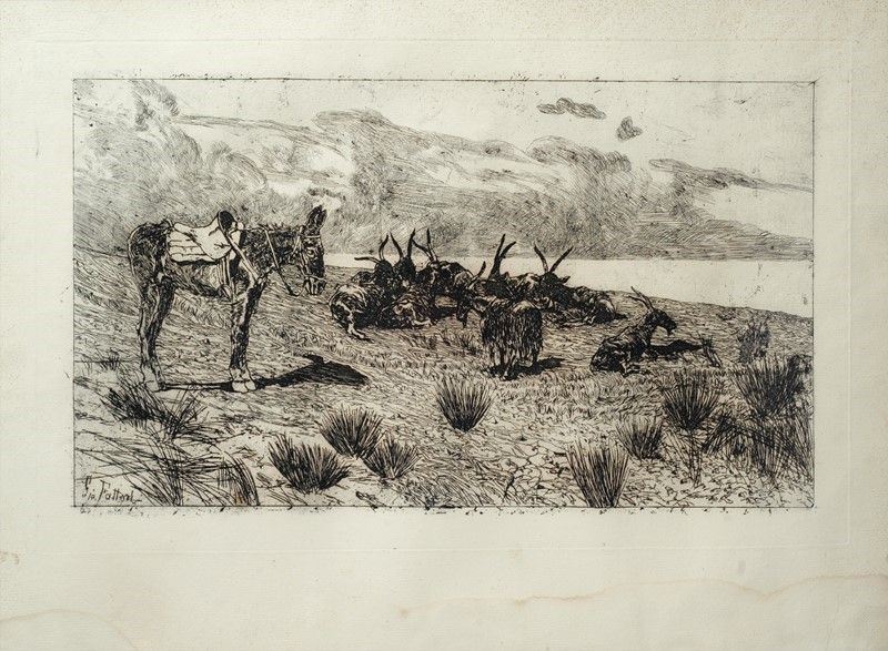 Giovanni Fattori - Le Capre