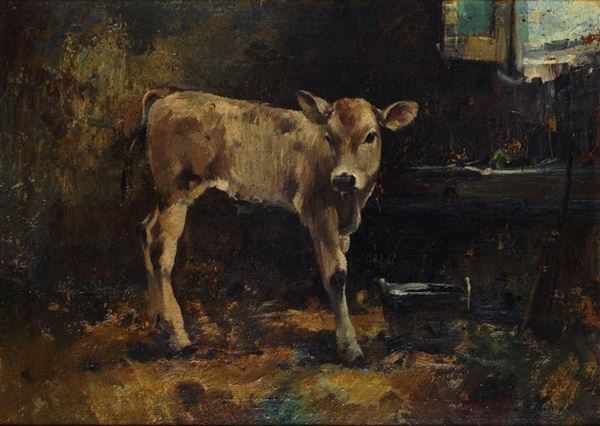 Giulio da Vicchio - Vitello