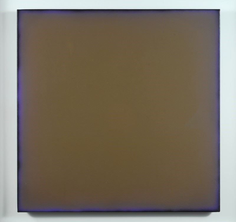 Jorrit Tornquist - Brown in Bordered Magenta Black