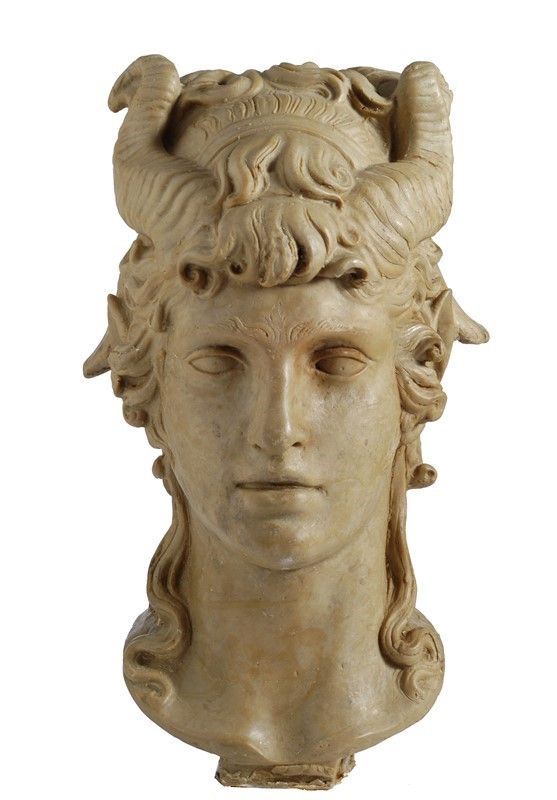 Anonimo, XX sec. : Testa  - Scultura in cera - Auction Antiquariato - I - Galleria Pananti Casa d'Aste