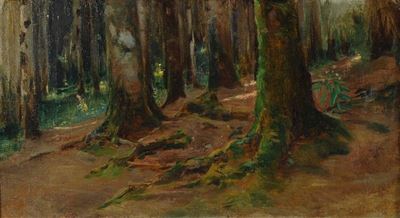 Alberi