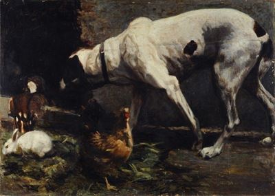 Cane e Animali da Cortile