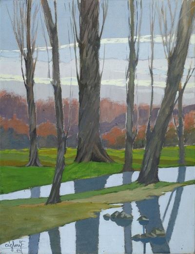Alberi