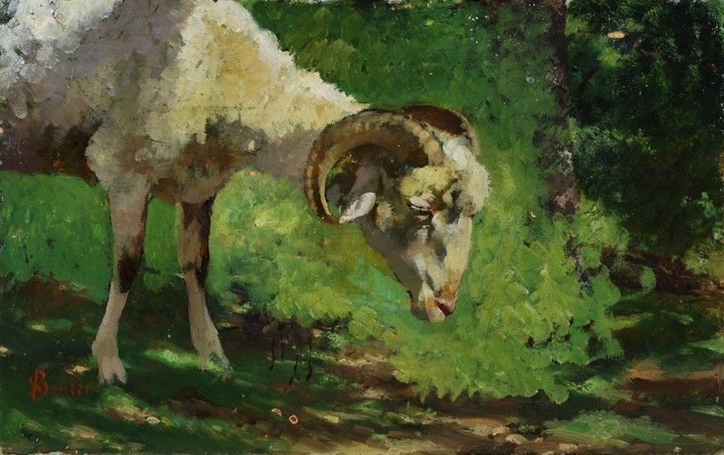 Stefano Bruzzi - Montone