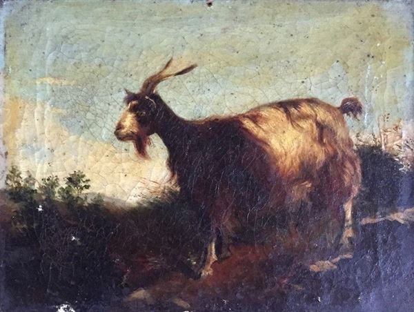 Filippo Palizzi - Capra