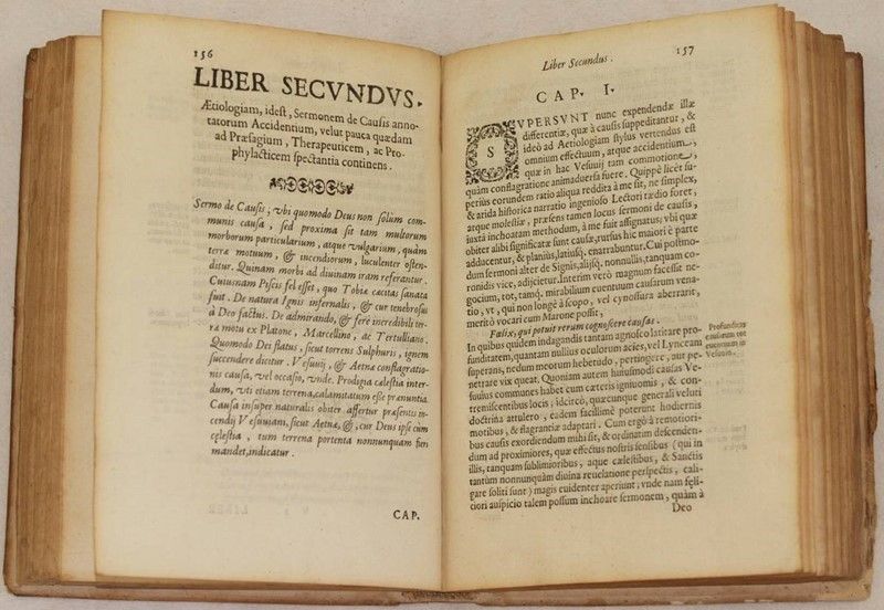 Vesuvius Ardens Sive Exercitatio Medico Physica