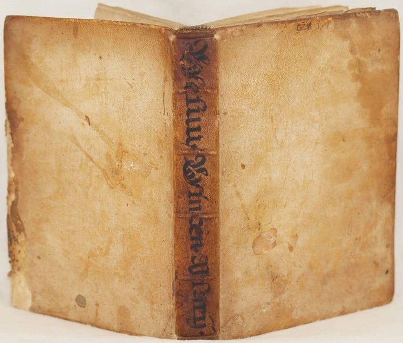 Vesuvius Ardens Sive Exercitatio Medico Physica