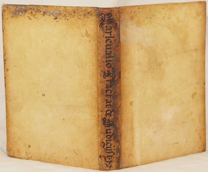 Disputationum Iuris Variarum Ad Interpretationem Regiarum