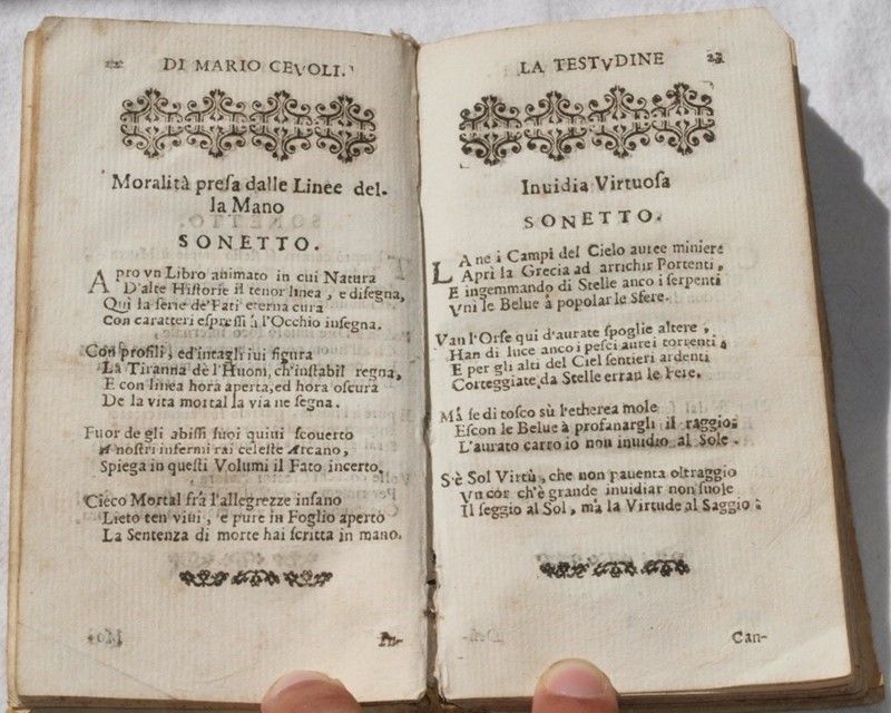 La Testudine