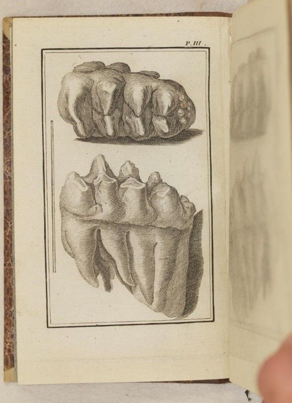 Les Epoques De la Nature
