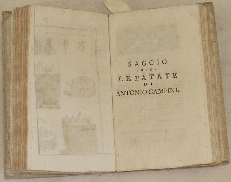 L’agricoltore Sperimentato Ovvero Regole Generali Sopra L’agricoltura