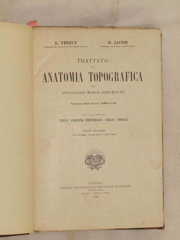 Anatomia Umana