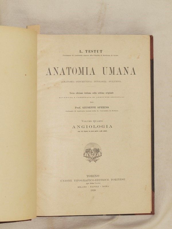Anatomia Umana