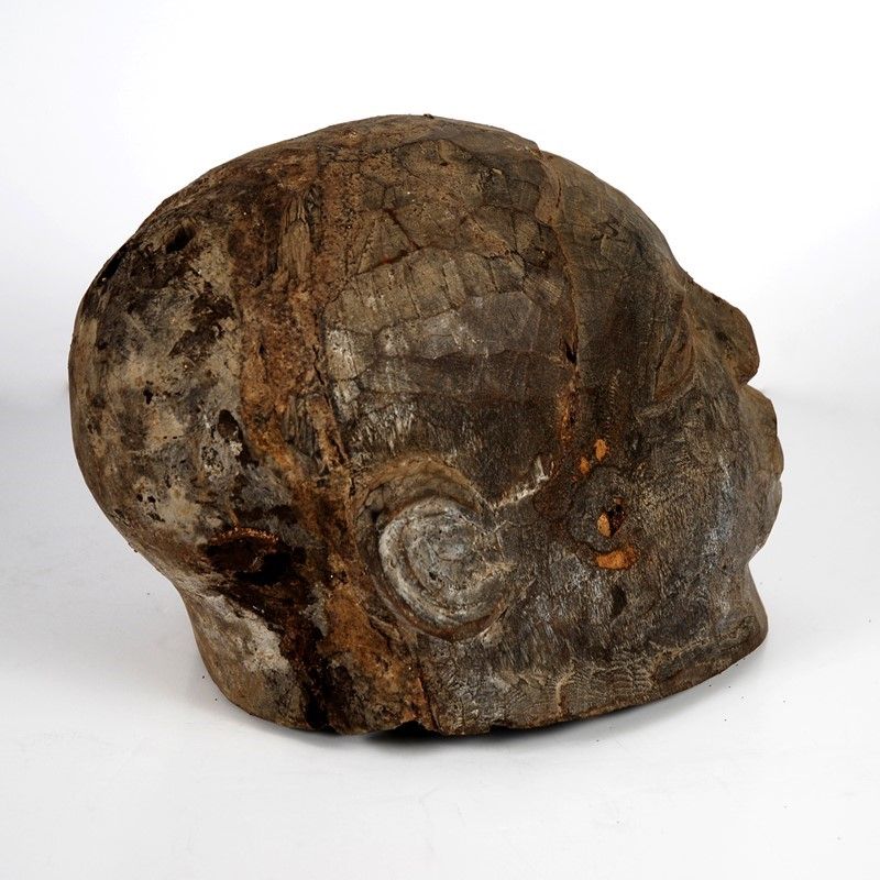 Maschera-casco “lipico”