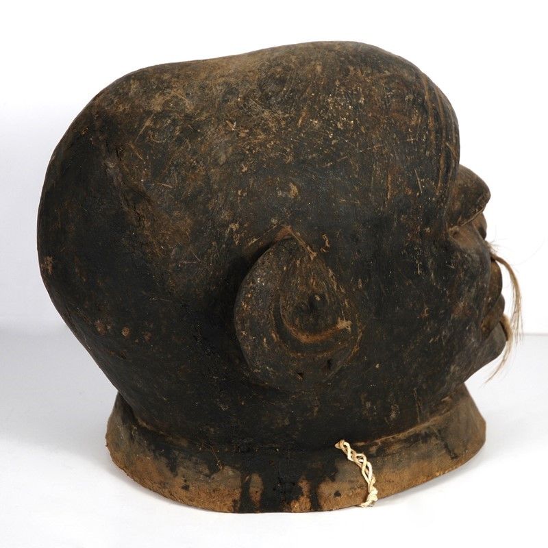Maschera-casco “lipico”