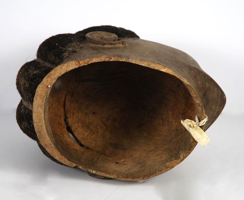 Maschera-casco “lipico”