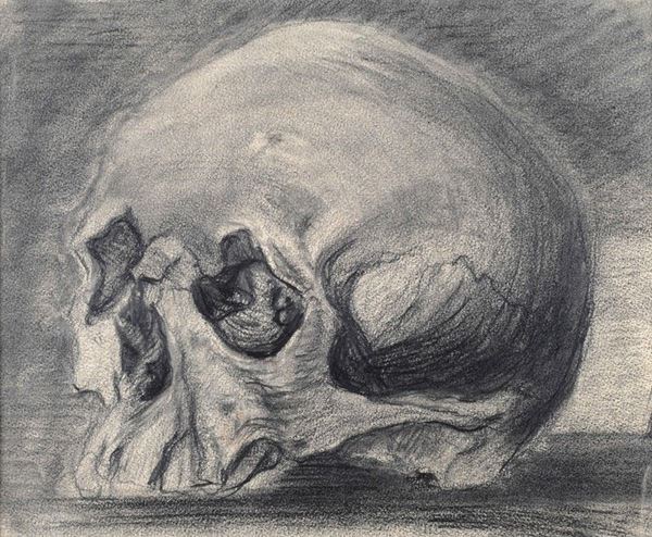 Carlo Erba - Studio di teschio