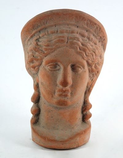 Testa Femminile