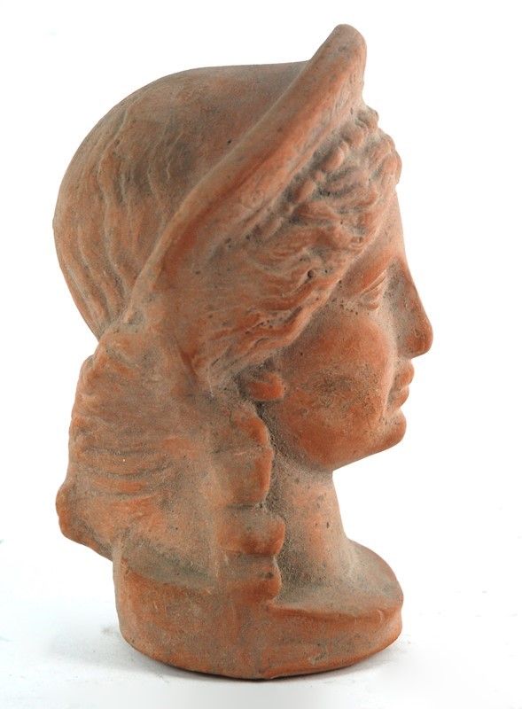 Testa Femminile
