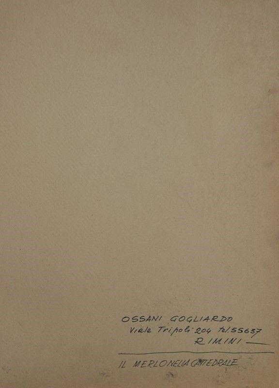 Gogliardo Ossani - Il Merlo nella Cattedrale