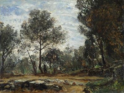 Paesaggio Boschivo